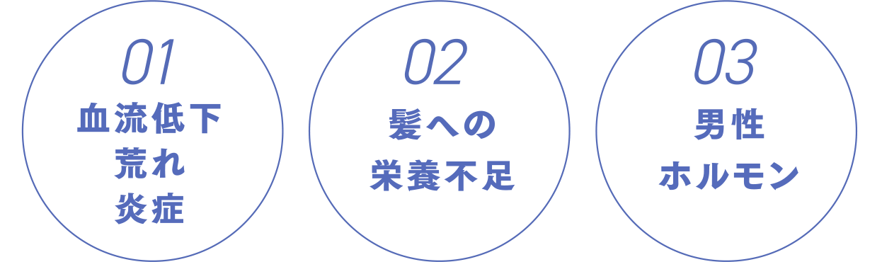 01.血流低下・荒れ・炎症 02.髪への栄養不足 03.男性ホルモン